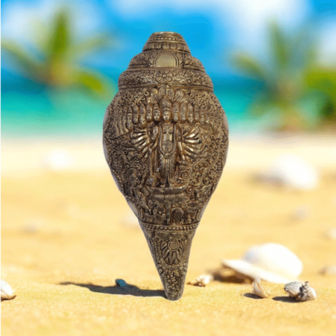 Conch Shell (Shankh)